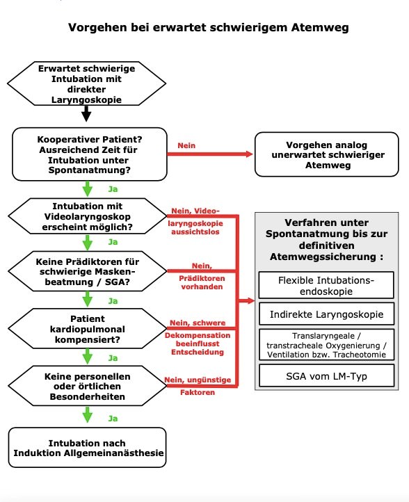 DGAI-Algorithmus zum Vorgehen bei unerwartet schwierigem Atemweg der S1-Leitlinie Atemwegsmanagement vom 21.08.2023